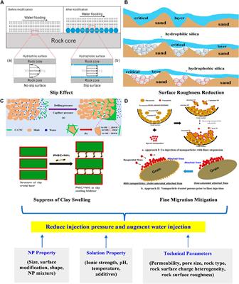 Nanoparticles as Depressurization and Augmented Injection Agents to Facilitate Low Permeability Reservoir Exploitation: Potentials and Risks